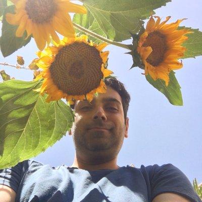 Mohsen Taleb's avatar